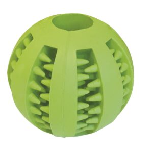 Pelota Dental