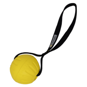 Pelota con asa engomada