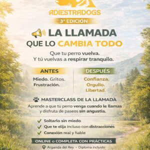 Masterclass: La Llamada que lo Cambia Todo