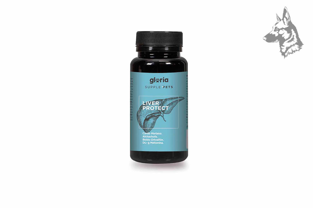 Envase de suplemento alimenticio para mascotas marca Gloria Supple Pets, modelo Liver Protect. Este producto está formulado para proteger y apoyar la salud hepática de perros y gatos, con ingredientes como cardo mariano, alcachofa, boldo, ortosifón, DL-metionina y otros nutrientes esenciales. El envase es negro con una etiqueta azul que incluye una ilustración gráfica del hígado. Ideal para cuidar el bienestar del hígado y mejorar la función hepática de las mascotas.