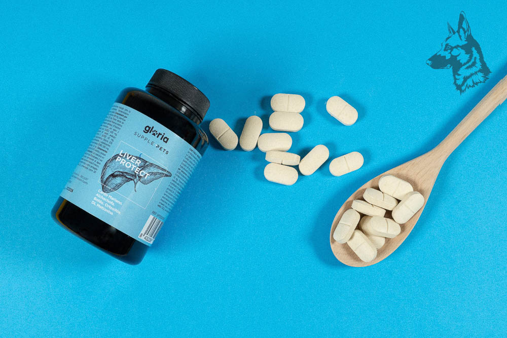 Liver Protect - Salud Hepática - Imagen 3