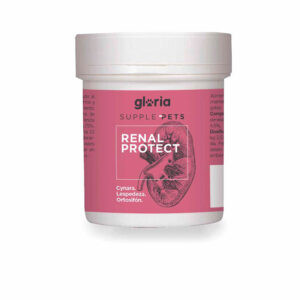 Bote de Gloria Supple Pets Renal Protect – Suplemento en polvo para el cuidado renal de perros y gatos. Fórmula natural con Cynara, Lespedeza y Ortosifón para apoyar la función renal y la salud urinaria.