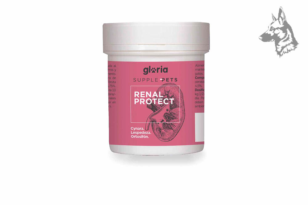 Bote de Gloria Supple Pets Renal Protect – Suplemento en polvo para el cuidado renal de perros y gatos. Fórmula natural con Cynara, Lespedeza y Ortosifón para apoyar la función renal y la salud urinaria.