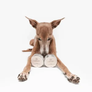 Perro tumbado sujetando dos botes de bálsamo regenerador Lahude entre las patas.