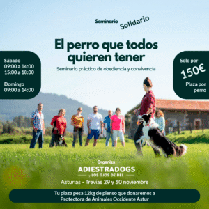 "El Perro que Todos Quieren Tener" – Seminario Práctico de Obediencia y Convivencia