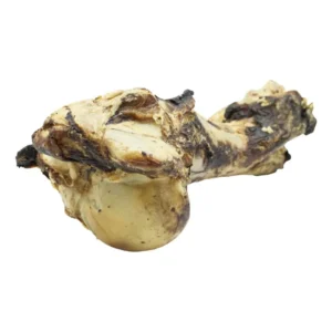 Hueso de mamut natural de 1,5 kg para perro grande, snack ancestral duradero