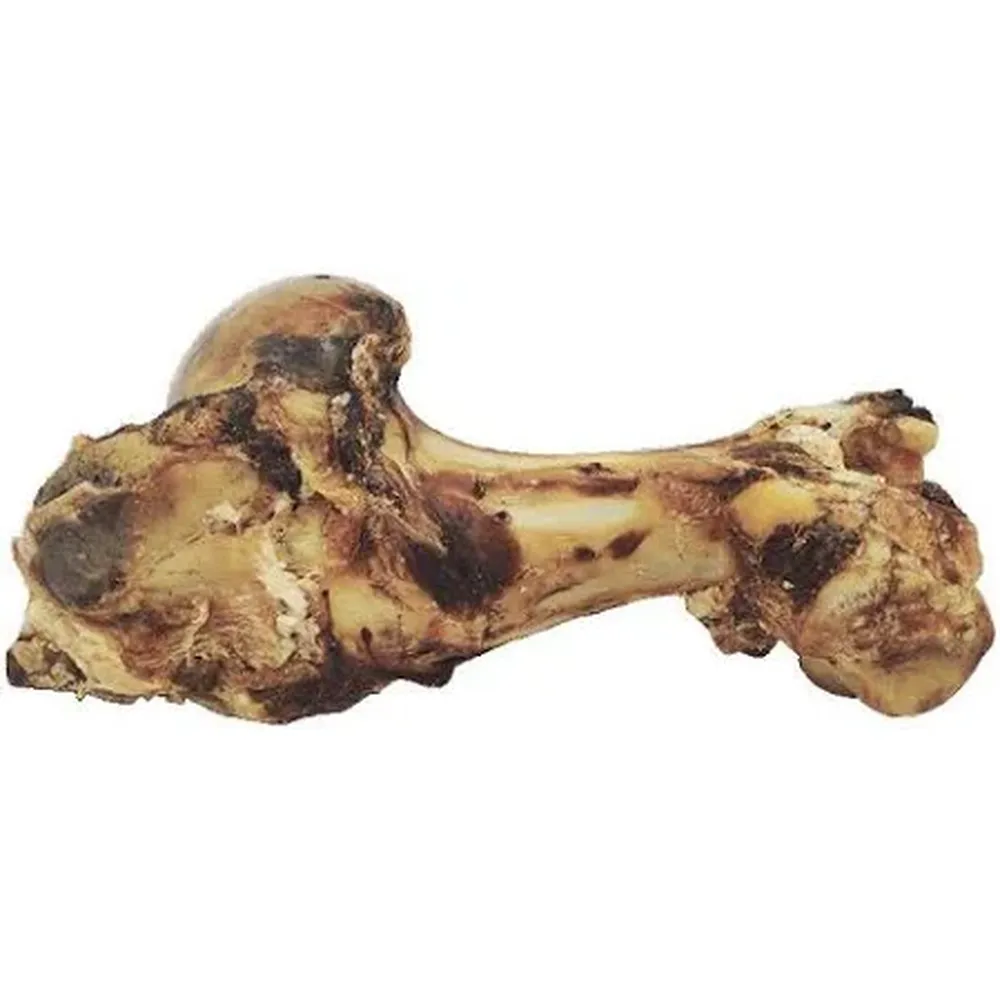 Hueso de mamut natural para perro, snack masticable duradero y 100 % ancestral