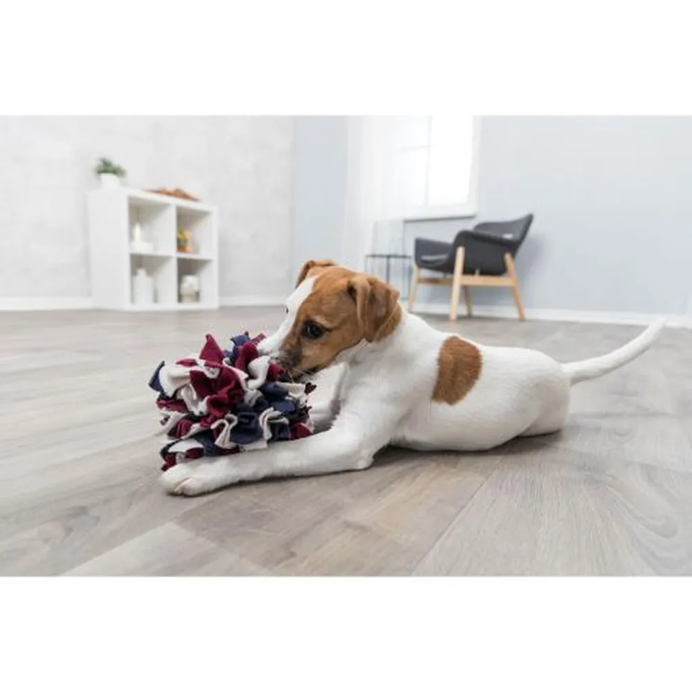 Perro pequeño jugando con pelota de olfato snuffle ball, juguete interactivo de tela con premios ocultos