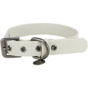 Collar para perro de PVC color gris claro, ancho 30 mm, con hebilla metálica y anilla para correa y placa identificativa.