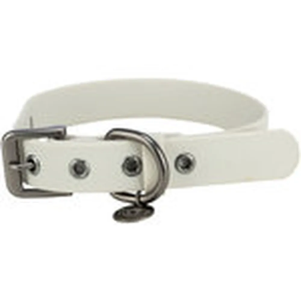 Collar para perro de PVC color gris claro, ancho 30 mm, con hebilla metálica y anilla para correa y placa identificativa.