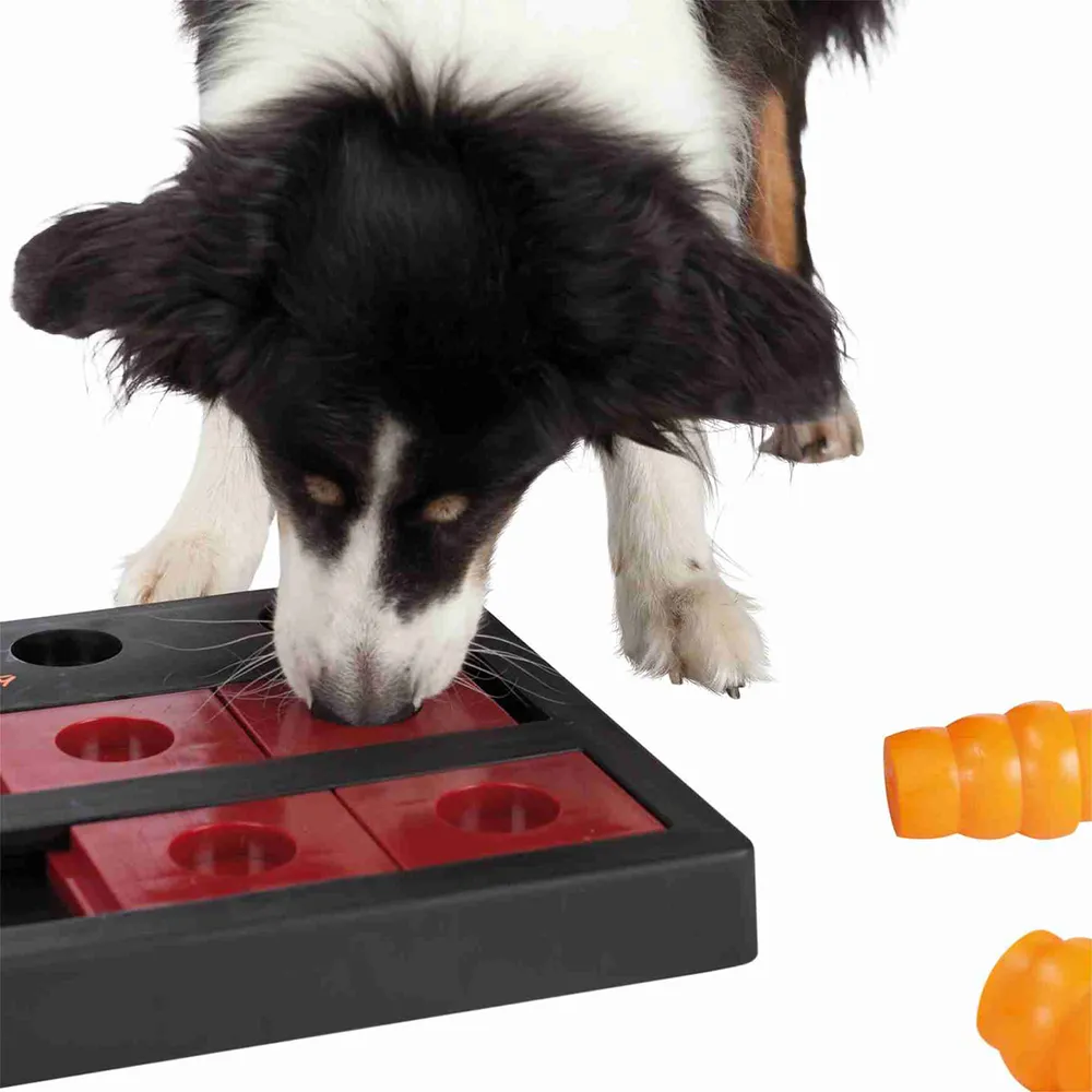 Perro resolviendo el juego Dog Activity Chess Nivel 3, desplazando piezas rojas con el hocico para acceder a los premios escondidos.