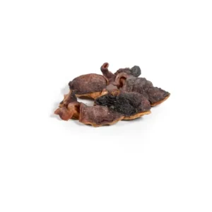 Cabeza de pulpo deshidratada para perros, snack natural rico en sabor, proteínas y textura divertida.